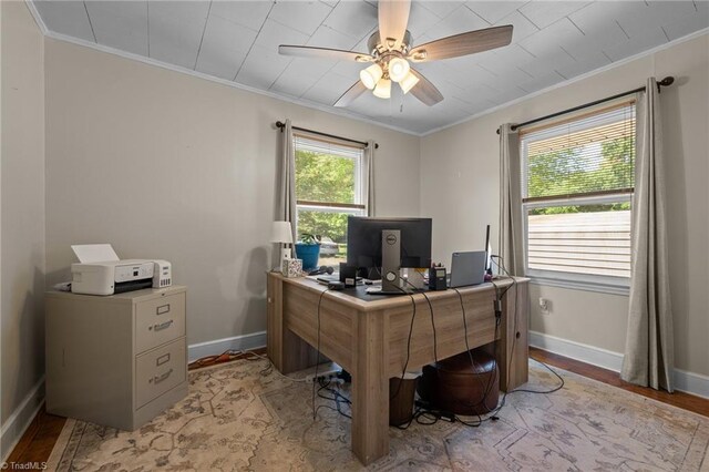 2719 NC Highway 87, Graham, NC 27253 - office space featuring ornamental molding, ceiling fan, light wood-type flooring, and baseboards
