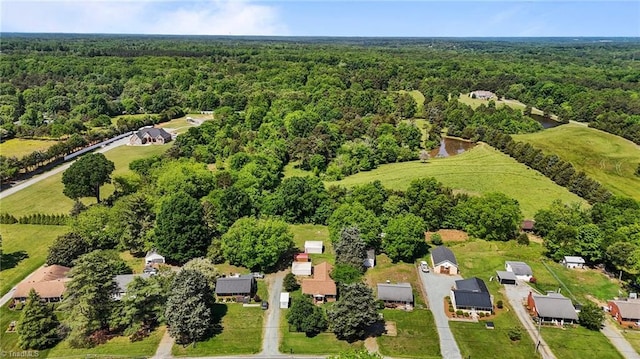 2719 NC Highway 87, Graham, NC 27253 - aerial view of a forest