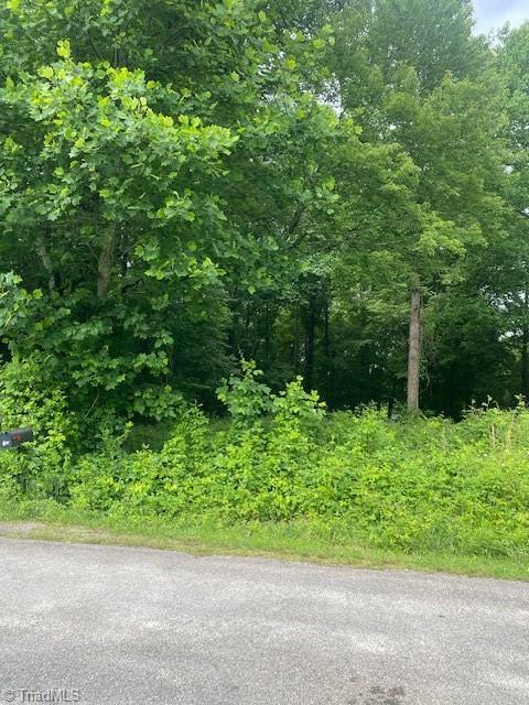 0000 Mountain View Rd, North Wilkesboro, NC 28659