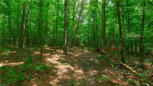 2745 Wyo Rd, Yadkinville, NC 27055