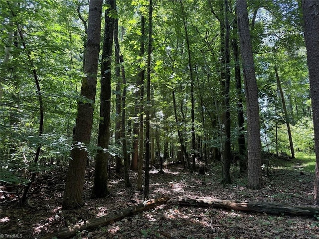 6343 Smithwood Rd, Liberty, NC 27298
