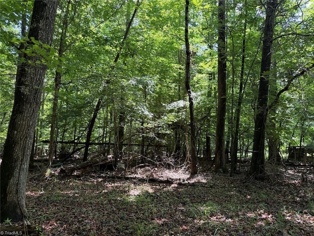 6343 Smithwood Rd, Liberty, NC 27298