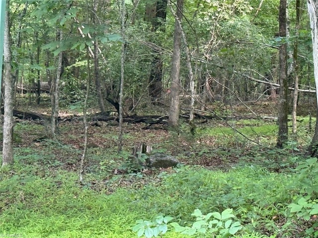 6343 Smithwood Rd, Liberty, NC 27298