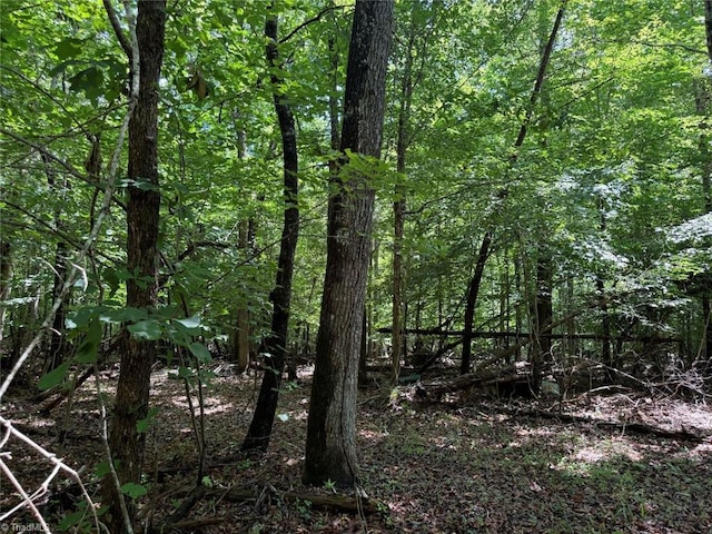 6343 Smithwood Rd, Liberty, NC 27298