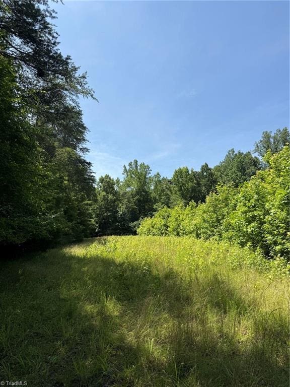 6343 Smithwood Rd, Liberty, NC 27298