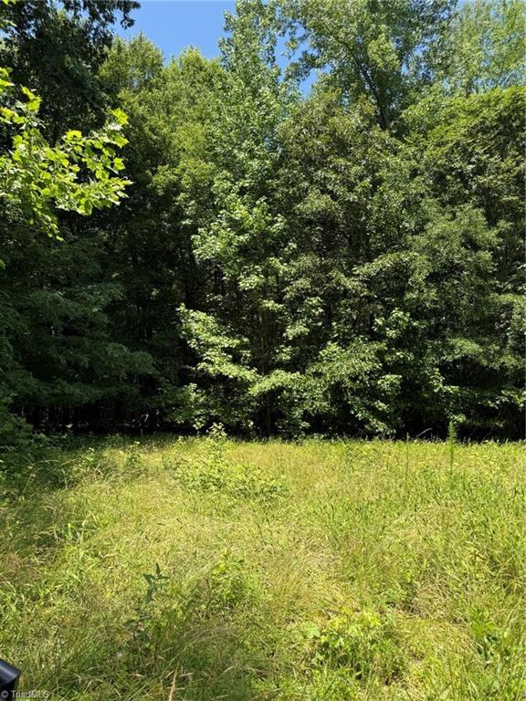 6343 Smithwood Rd, Liberty, NC 27298