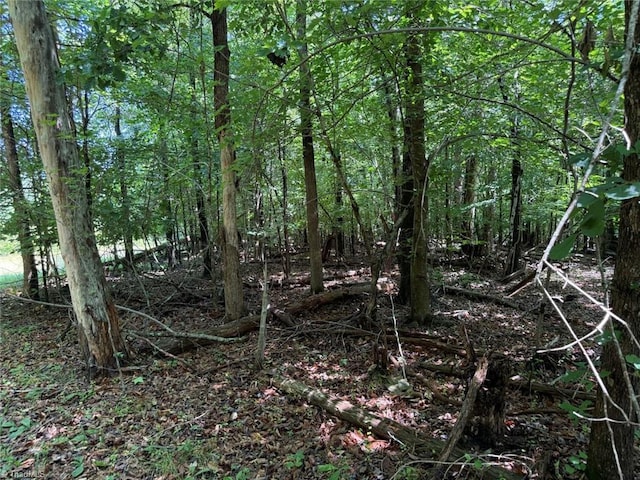 6343 Smithwood Rd, Liberty, NC 27298