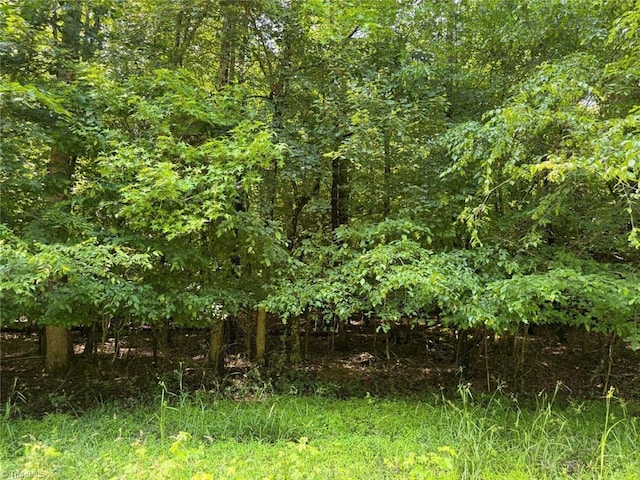 6343 Smithwood Rd, Liberty, NC 27298