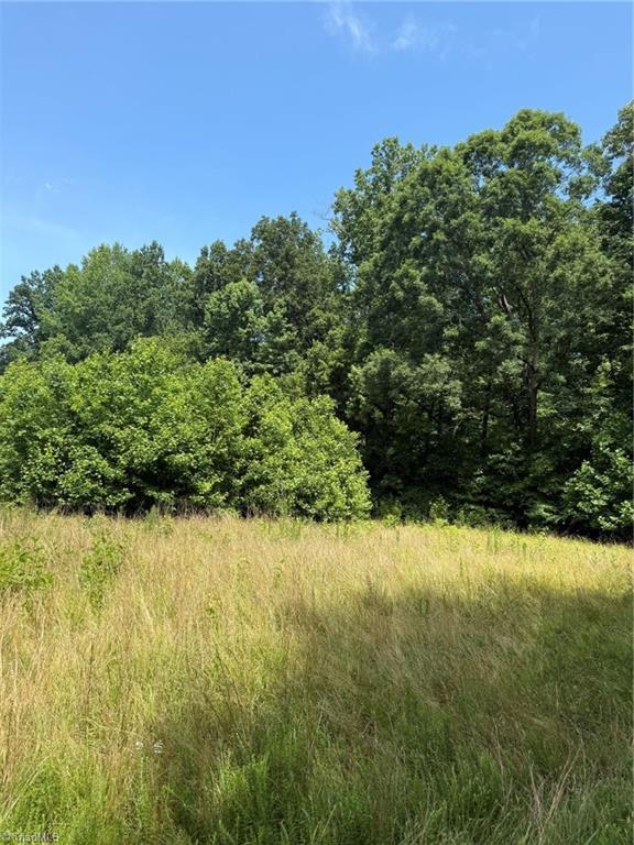 6343 Smithwood Rd, Liberty, NC 27298