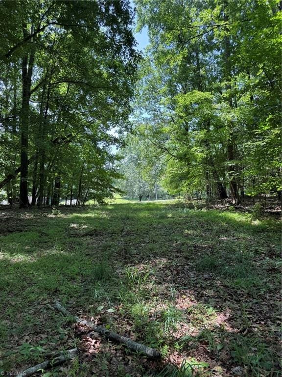 6343 Smithwood Rd, Liberty, NC 27298