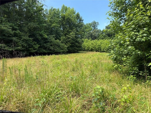 6343 Smithwood Rd, Liberty, NC 27298