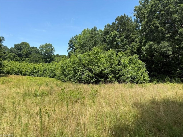 6343 Smithwood Rd, Liberty, NC 27298