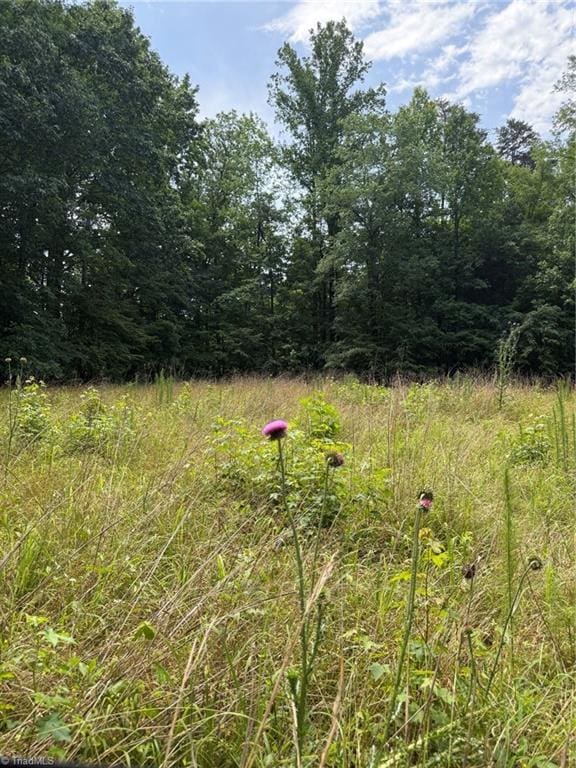 6343 Smithwood Rd, Liberty, NC 27298