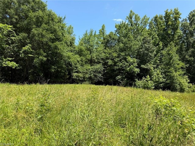 6343 Smithwood Rd, Liberty, NC 27298