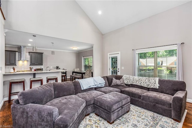 3632 Sally Kirk Rd, Winston-Salem, NC 27106 - living area featuring high vaulted ceiling, dark wood-type flooring, baseboards, recessed lighting, and ornamental molding