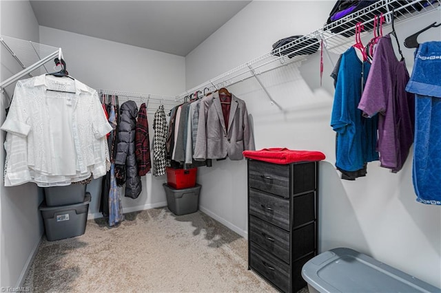 spacious closet with carpet floors