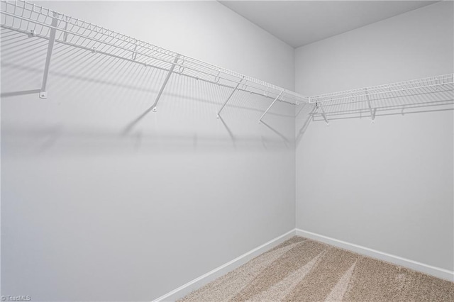 walk in closet with carpet