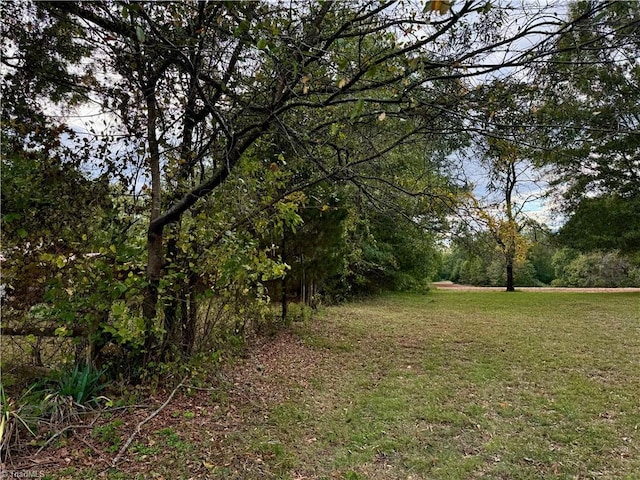 view of undeveloped land
