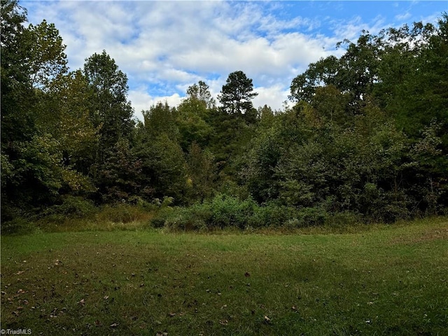 view of woods