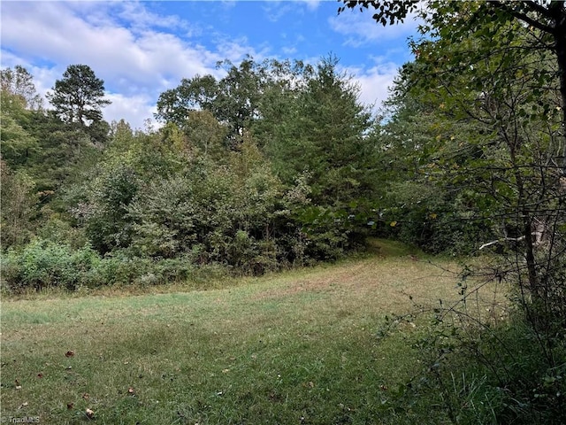 view of woods