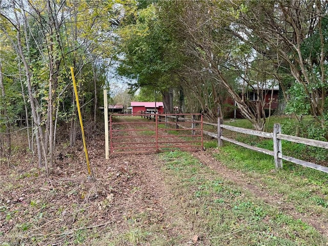 view of dirt / gravel driveway