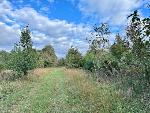 view of local wilderness