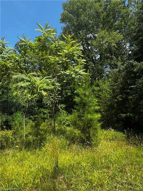301 Pryor Rd, Pelham, NC 27311