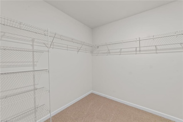 walk in closet with carpet