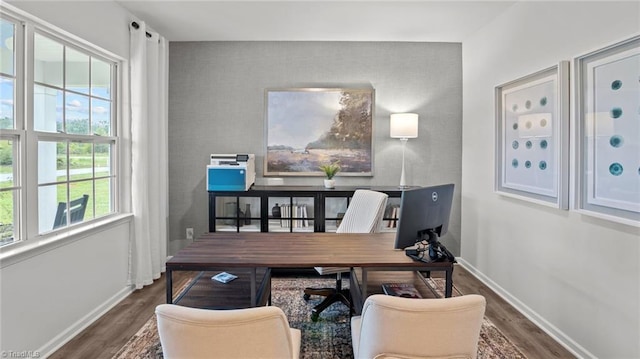 office space featuring dark hardwood / wood-style floors and a healthy amount of sunlight