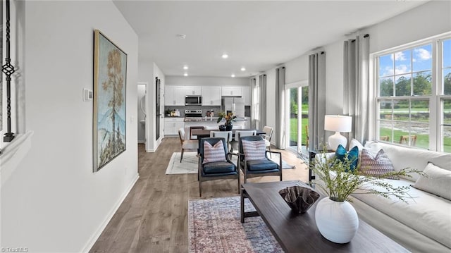 living room with light wood-type flooring