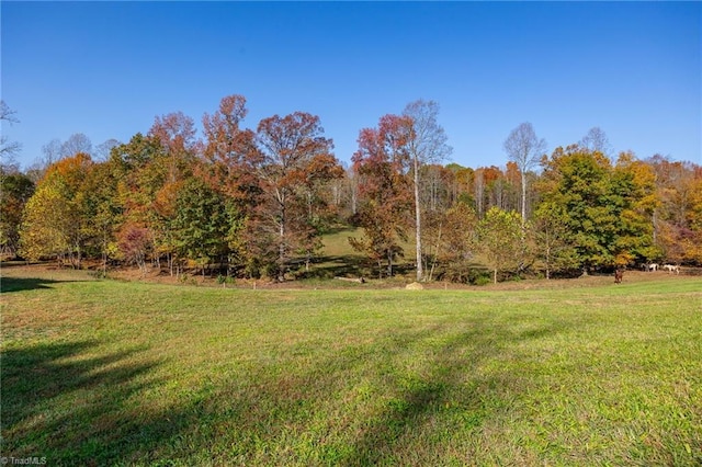 view of yard featuring a wooded view