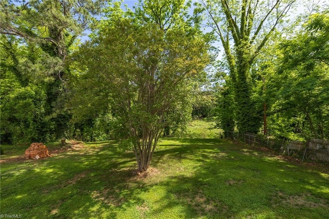 225 Main St E, Pilot Mountain, NC 27041 - view of yard