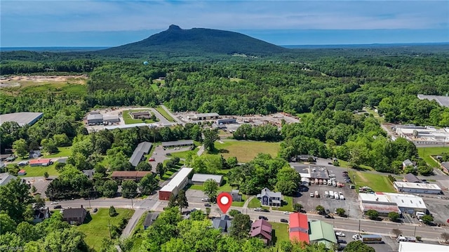 225 Main St E, Pilot Mountain, NC 27041 - aerial view of a forest and a mountainous background