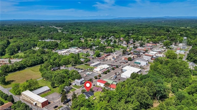 225 Main St E, Pilot Mountain, NC 27041 - bird's eye view of a heavily wooded area