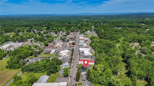 225 Main St E, Pilot Mountain, NC 27041 - aerial view of property's location with a forest