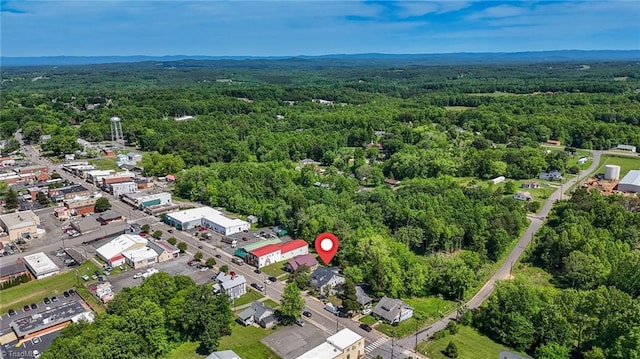 225 Main St E, Pilot Mountain, NC 27041 - aerial view of property's location featuring a forest