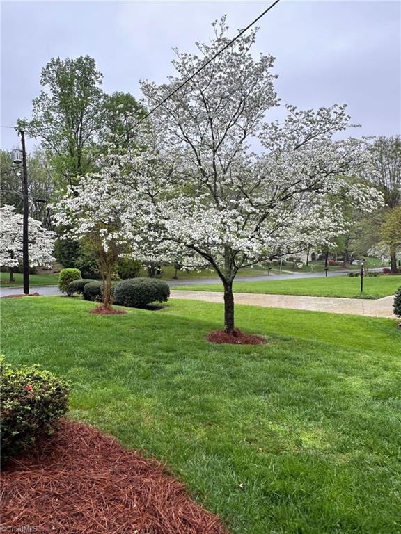 view of home's community featuring a lawn