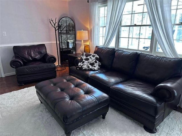 living room with hardwood / wood-style flooring