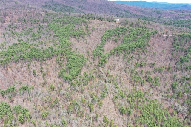000 Big Ivy Rd, Purlear, NC 28665