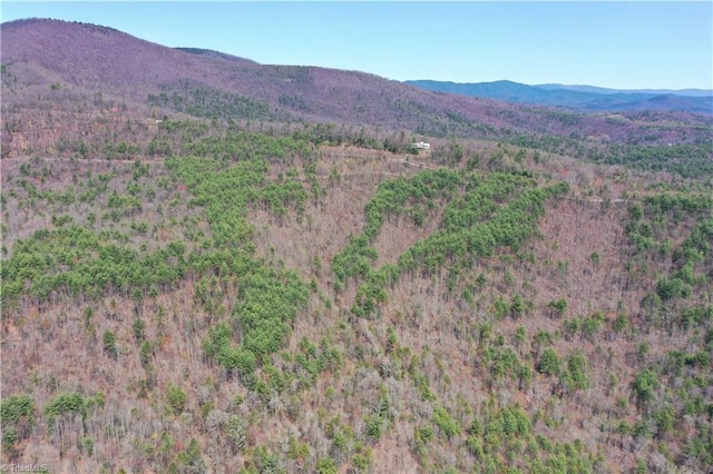 000 Big Ivy Rd, Purlear, NC 28665