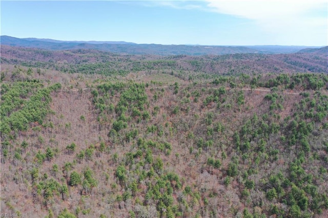 000 Big Ivy Rd, Purlear, NC 28665