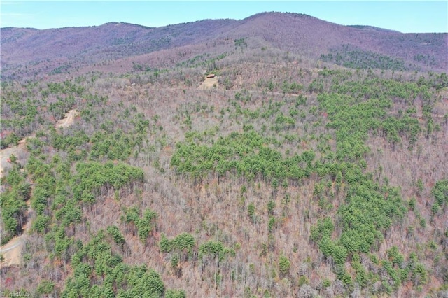 000 Big Ivy Rd, Purlear, NC 28665