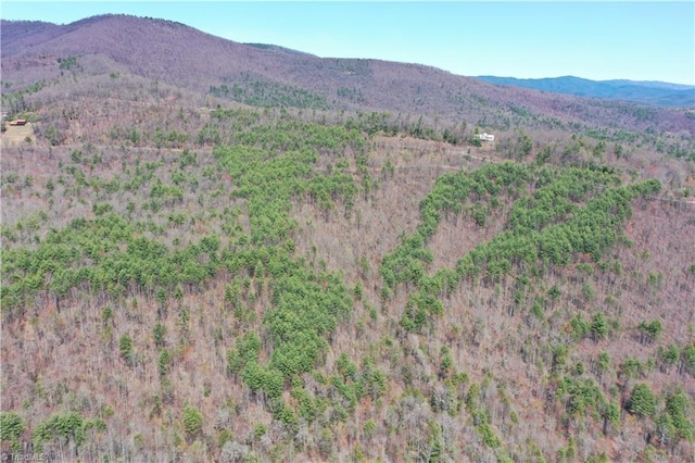 000 Big Ivy Rd, Purlear, NC 28665