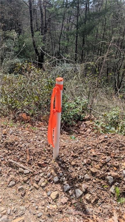 000 Big Ivy Rd, Purlear, NC 28665
