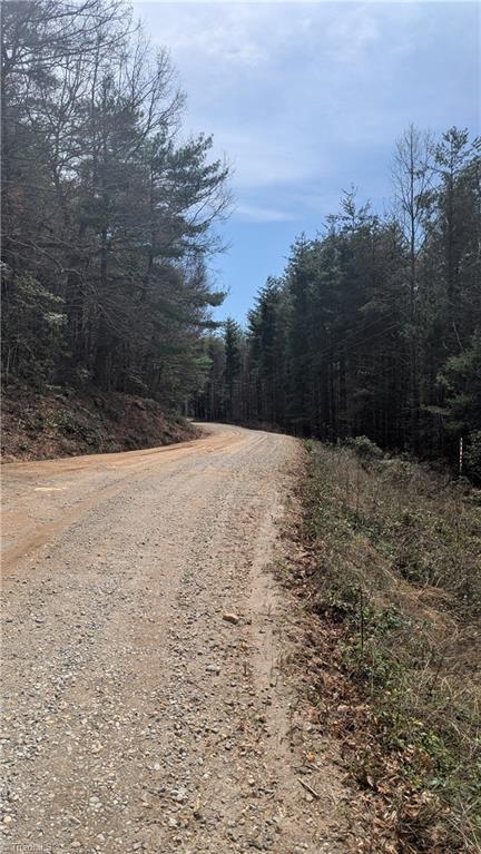 000 Big Ivy Rd, Purlear, NC 28665