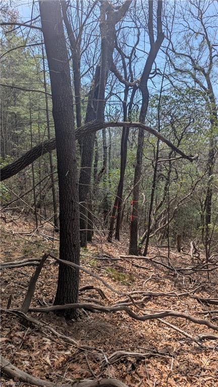 000 Big Ivy Rd, Purlear, NC 28665