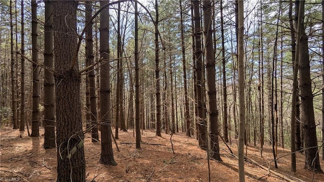 000 Big Ivy Rd, Purlear, NC 28665