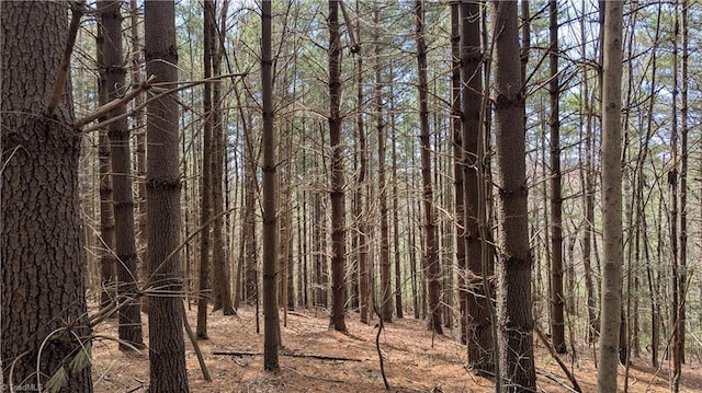 000 Big Ivy Rd, Purlear, NC 28665