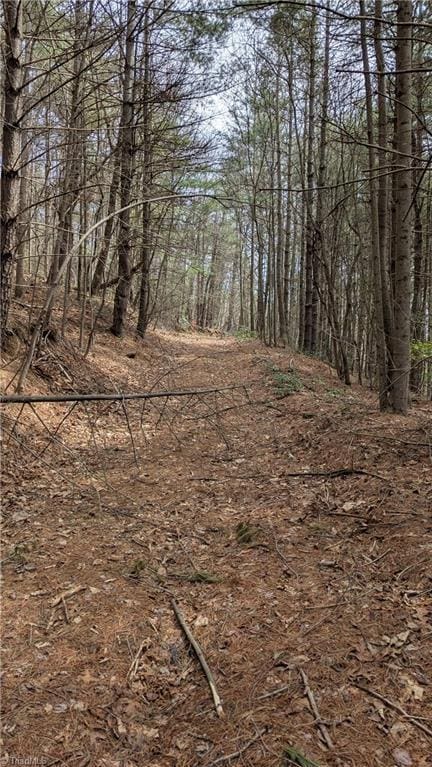 000 Big Ivy Rd, Purlear, NC 28665