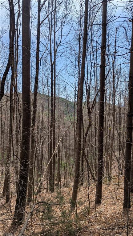 000 Big Ivy Rd, Purlear, NC 28665